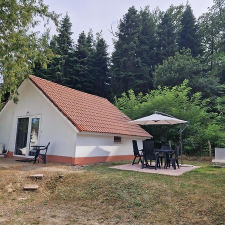 Mon Chalet En Ariege Avec Piscine Daumazan-sur-Arize Exterior foto